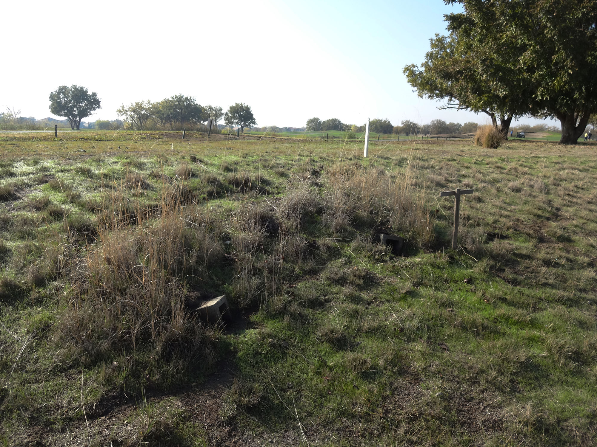 A field near the Wildhorse golf course with a cement block and several trees